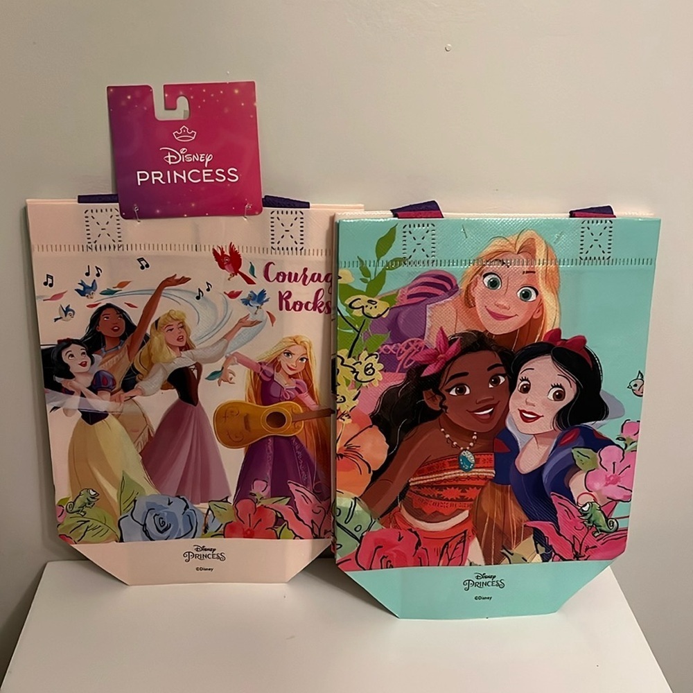 Disney Princess 2 Canvas Reusable Bag